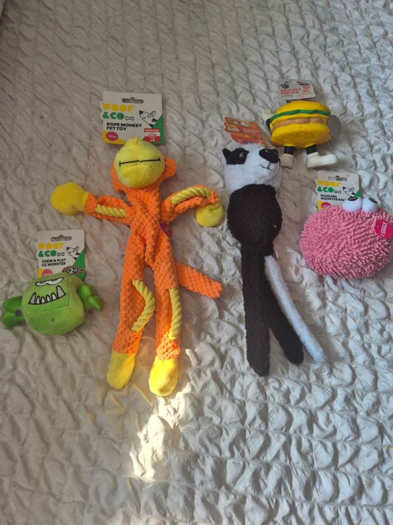 New dog toys 