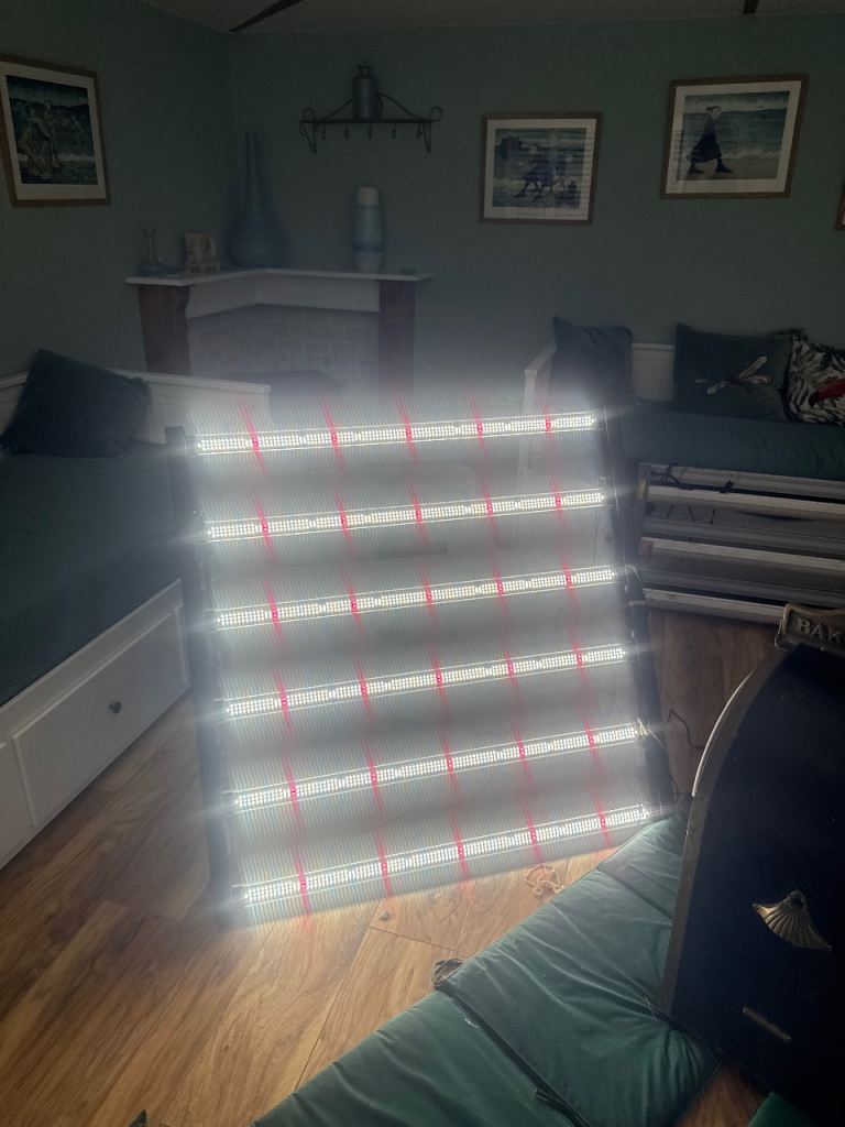 Omega 720w LED grow lights X 3