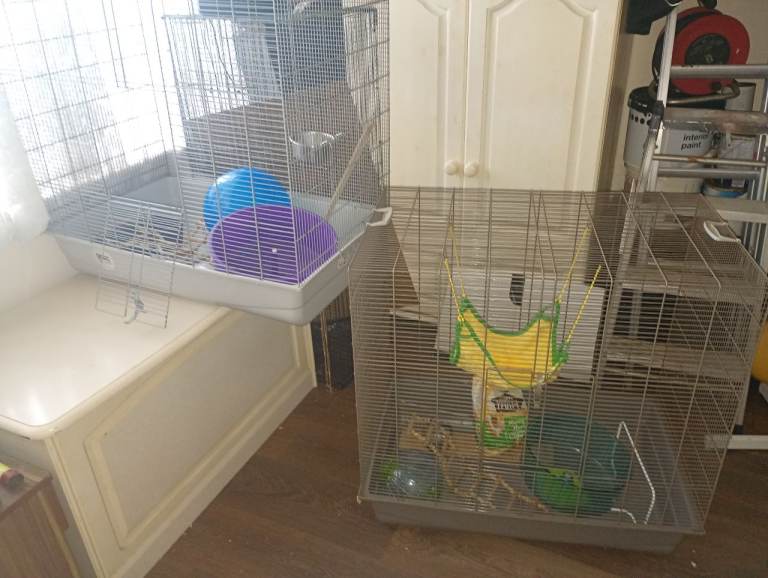 savic rat cage x2
