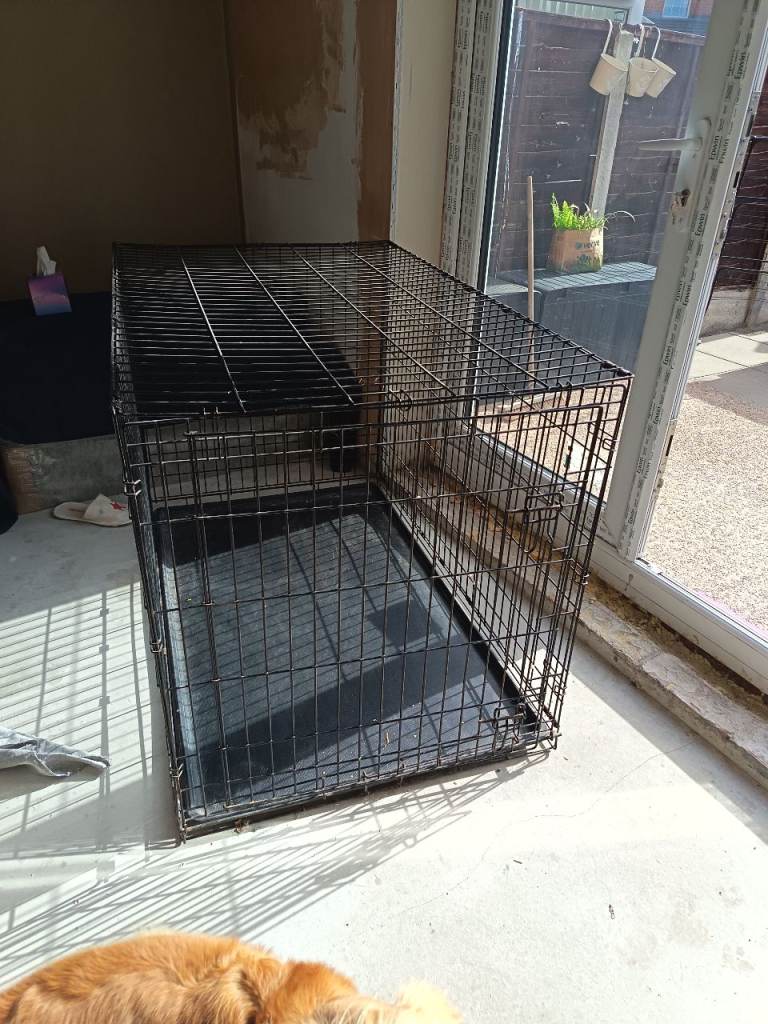 Large dog cage