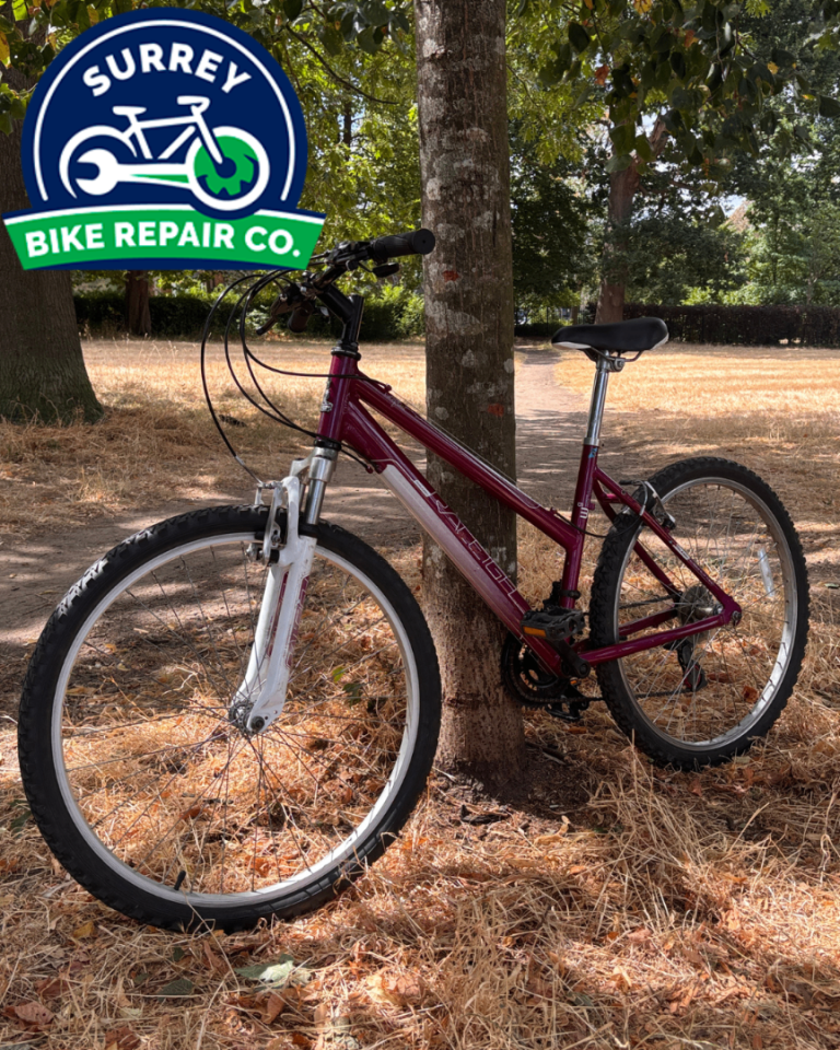 Raleigh Mountain Bike - Purple, Good Condition