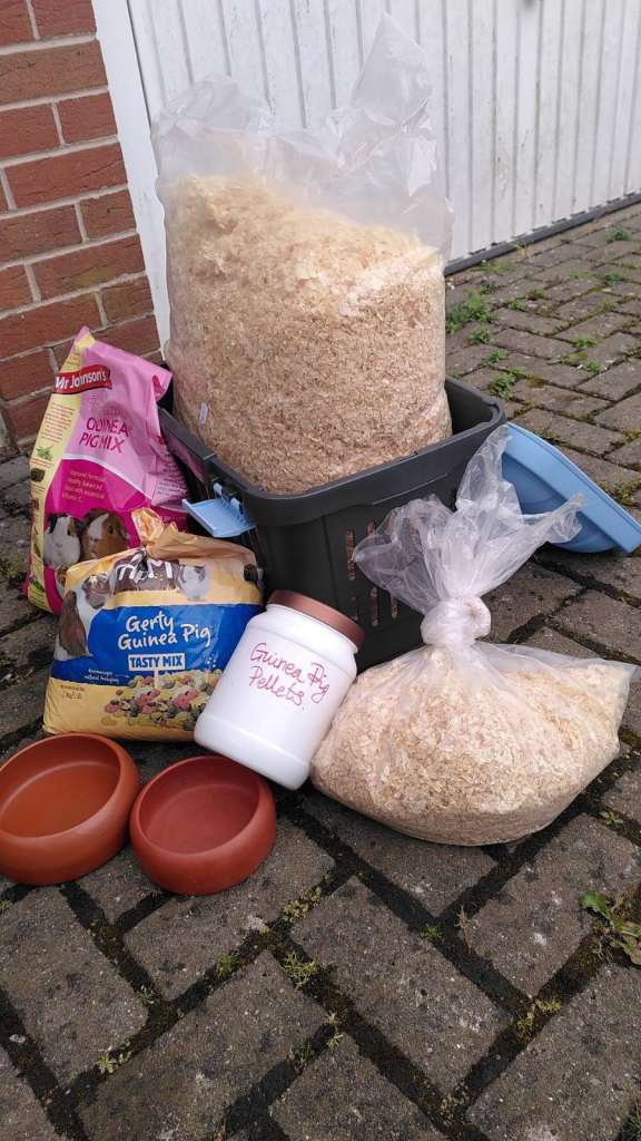 Guinea Pig carrier, bowls, food and wood shavings