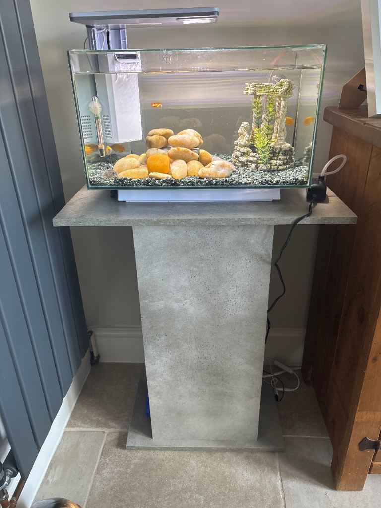 Fishtank with fish