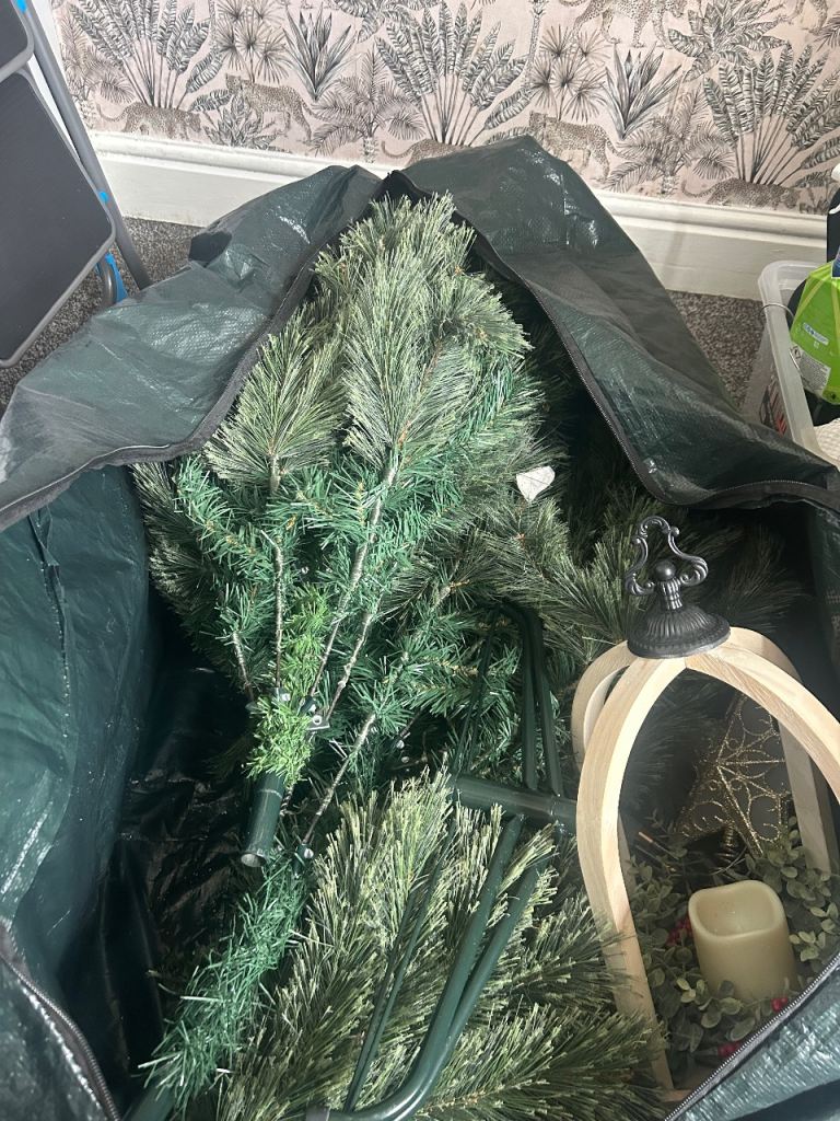 Christmas tree & decor
