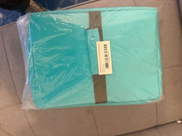 Motor bike car delivery bag