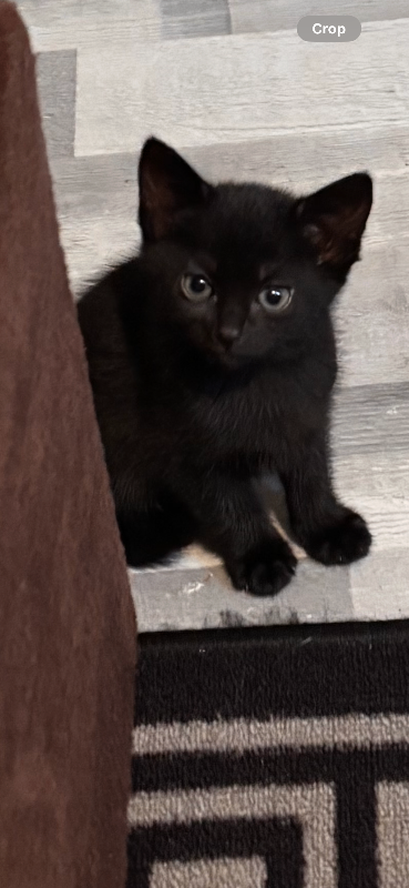 Beautiful little girl 