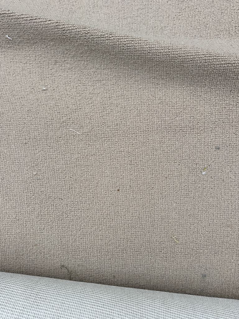 Free - wool carpet - read description