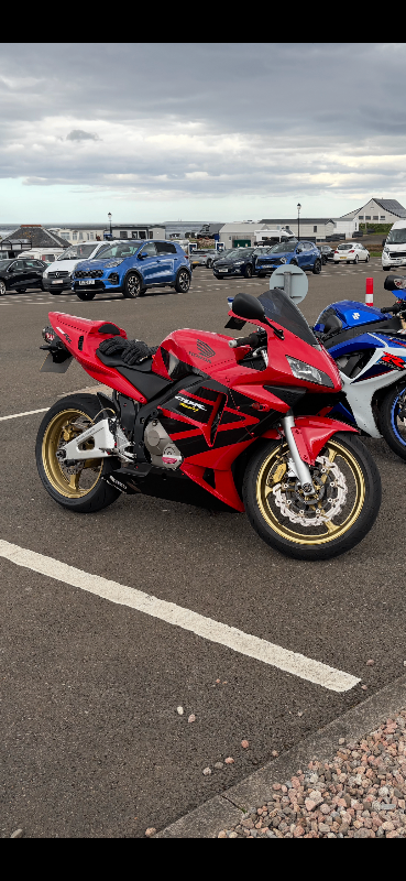 Honda, CBR, 2003, 599 (cc)