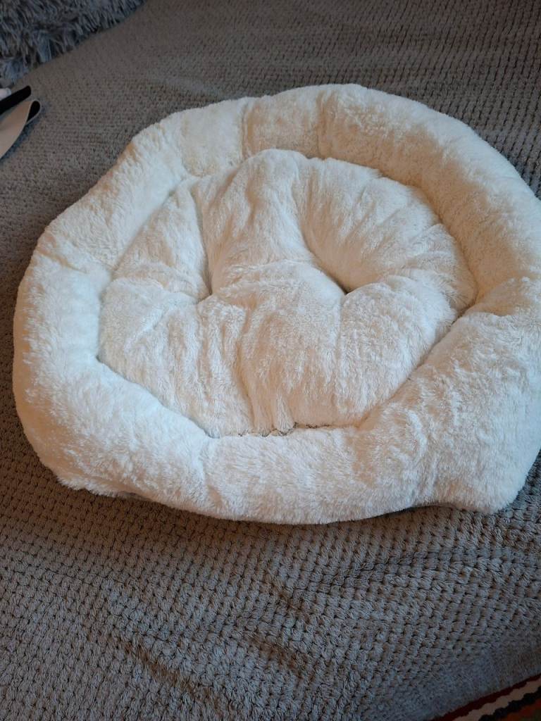 Cat Bed 