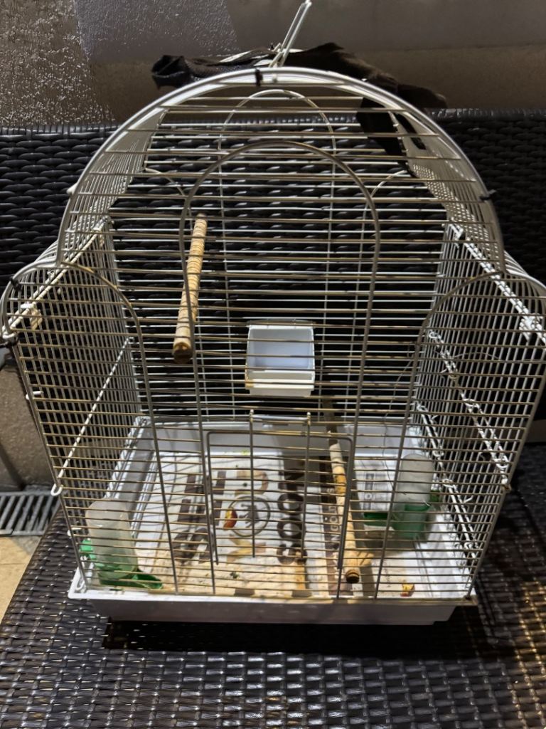 Budgie/parakeet cage