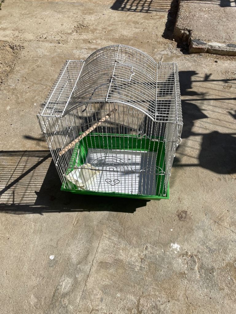 Bird cage 