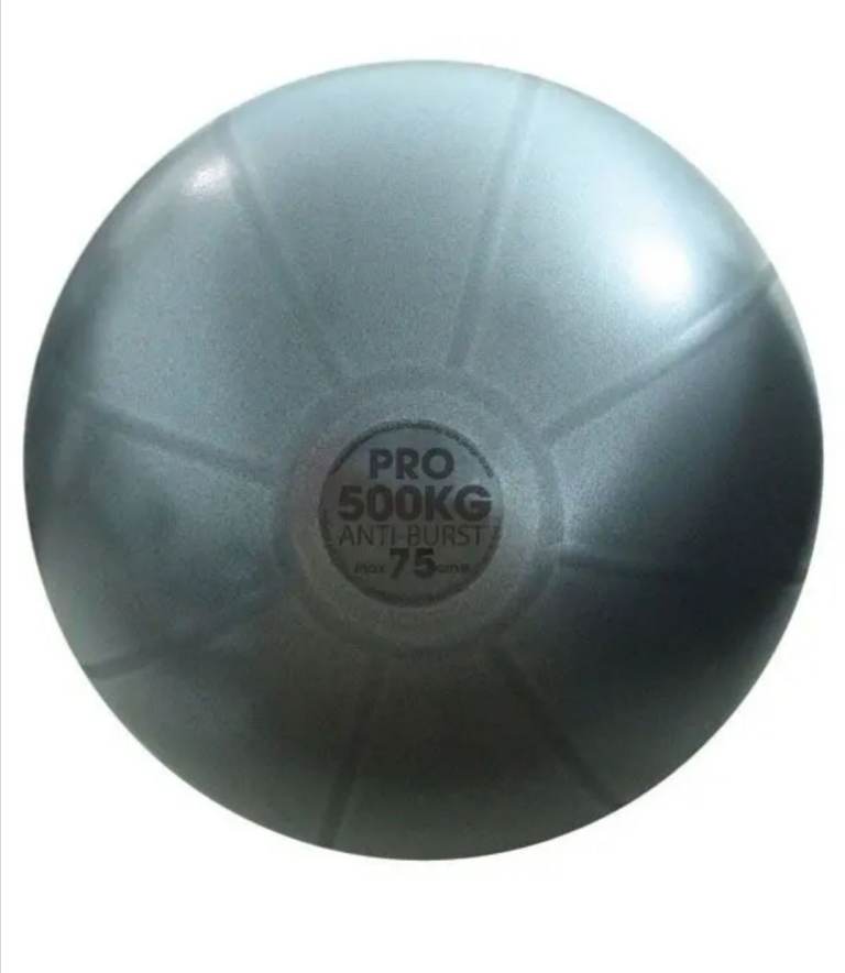 65cm 500kg Anti-Burst Swiss Ball
