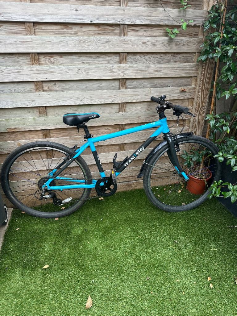 Frog 73 Team Sky Bike