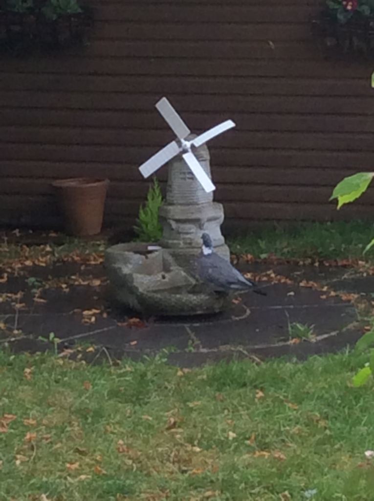 Garden circle , large .