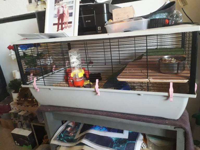Hamster / gerbil cage 
