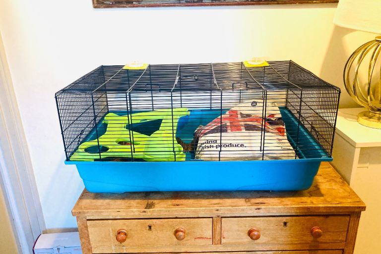 Hamster cage with accessories 