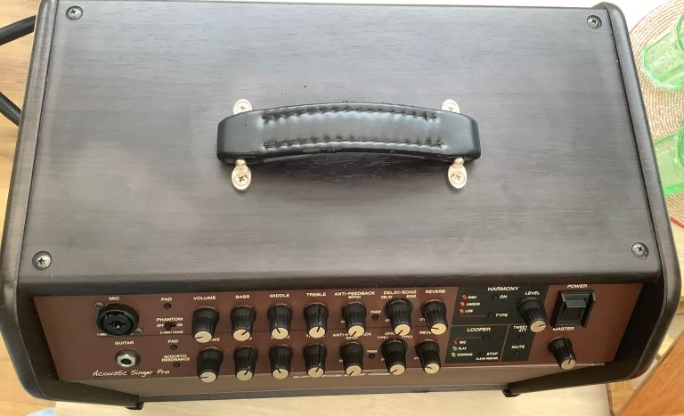 Boss Acoustic Singer Pro