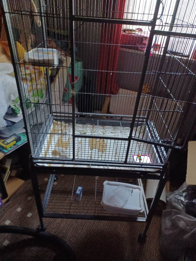 Bird cage large
