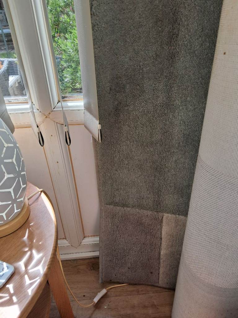 LARGE RUG 