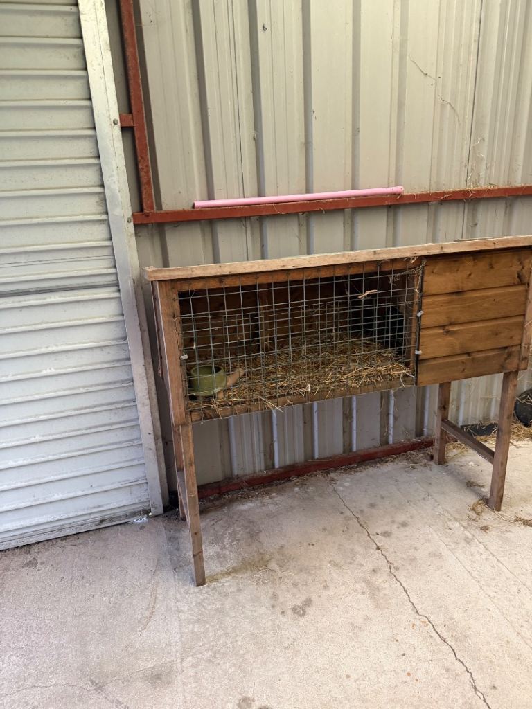 Pet Hut cage 