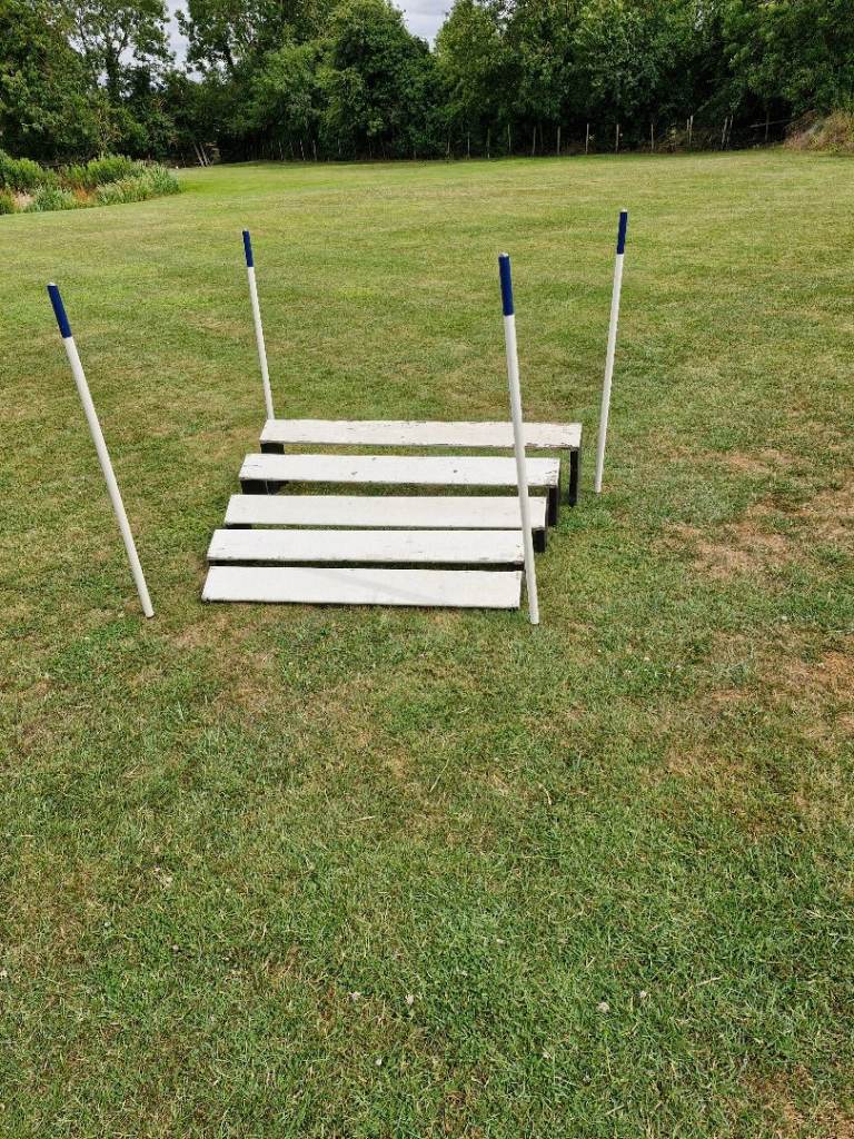 Long jump 