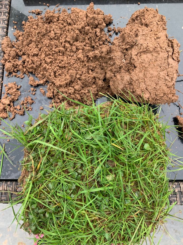 Free turf and soil