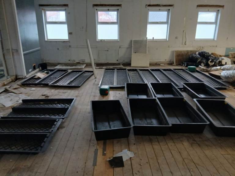 image for Tomato growing equipment