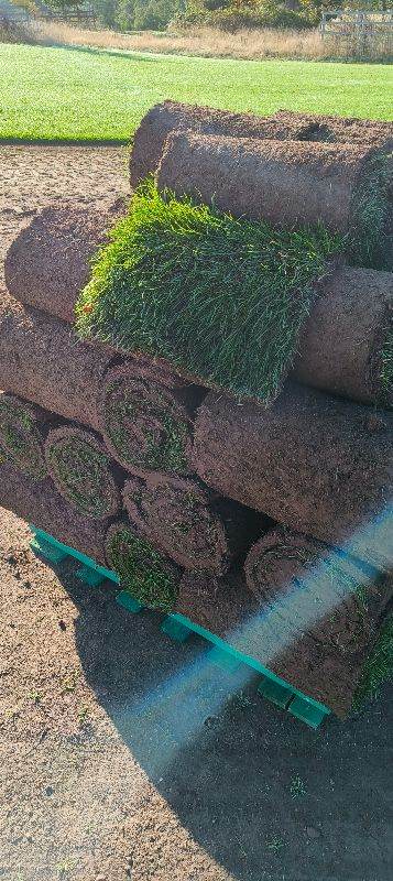 Turf rolls square yard cut. £4/roll