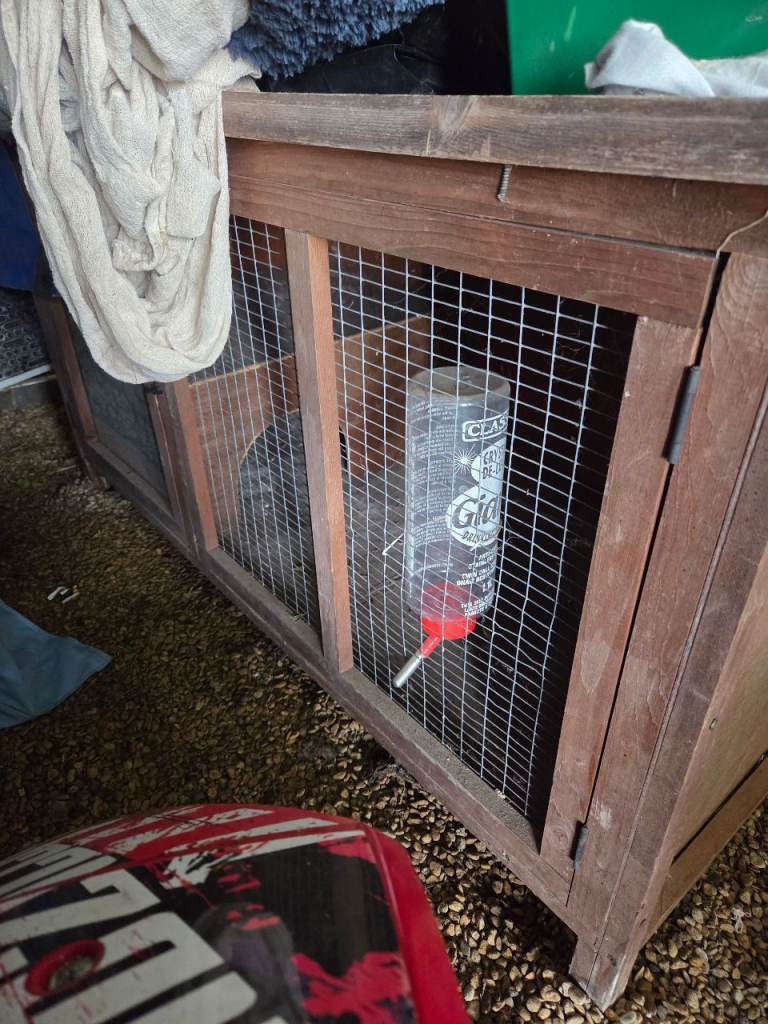 RABBIT HUTCH