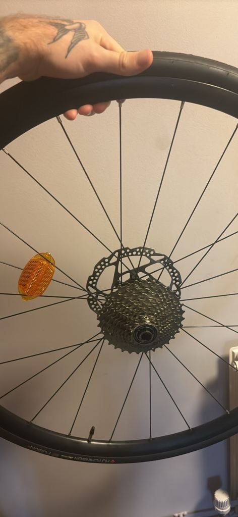 VAN RYSEL L- FRAME COLLECT ONLY