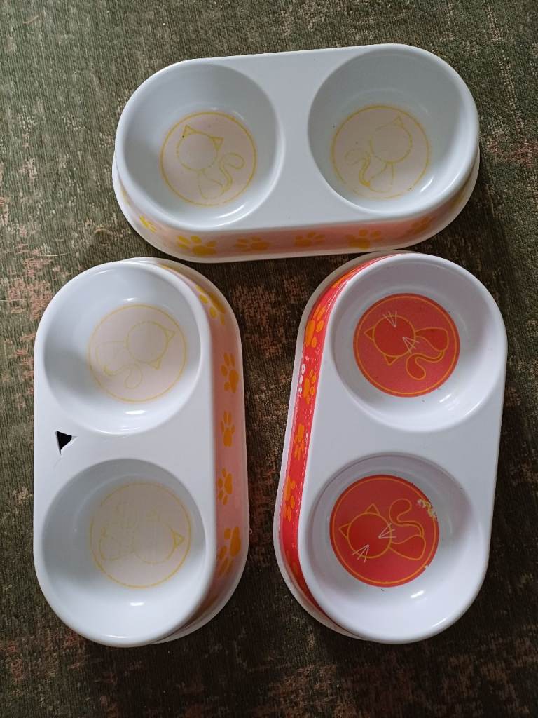 Cat bowls