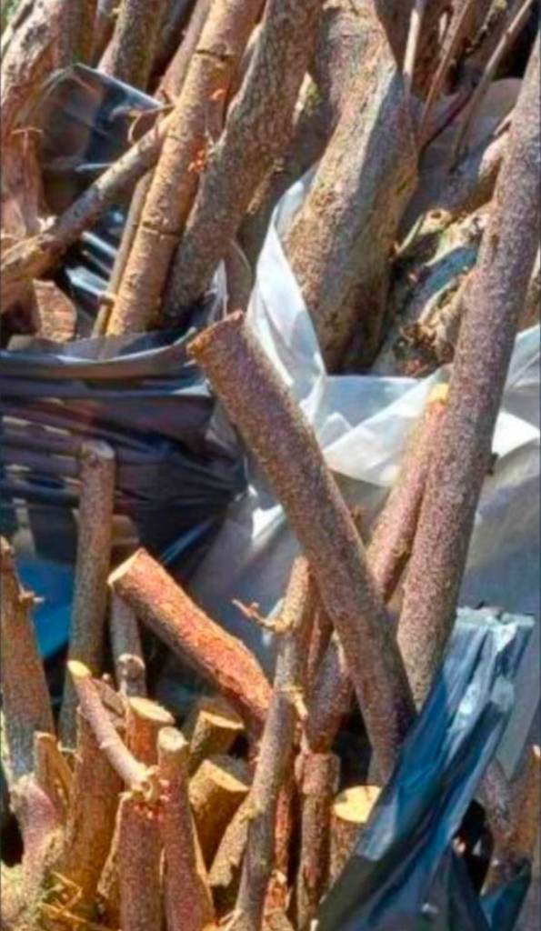 12 Rubble sack of Garden Wood Cuttings for Firewood or Craft 🌟£5 PER ...