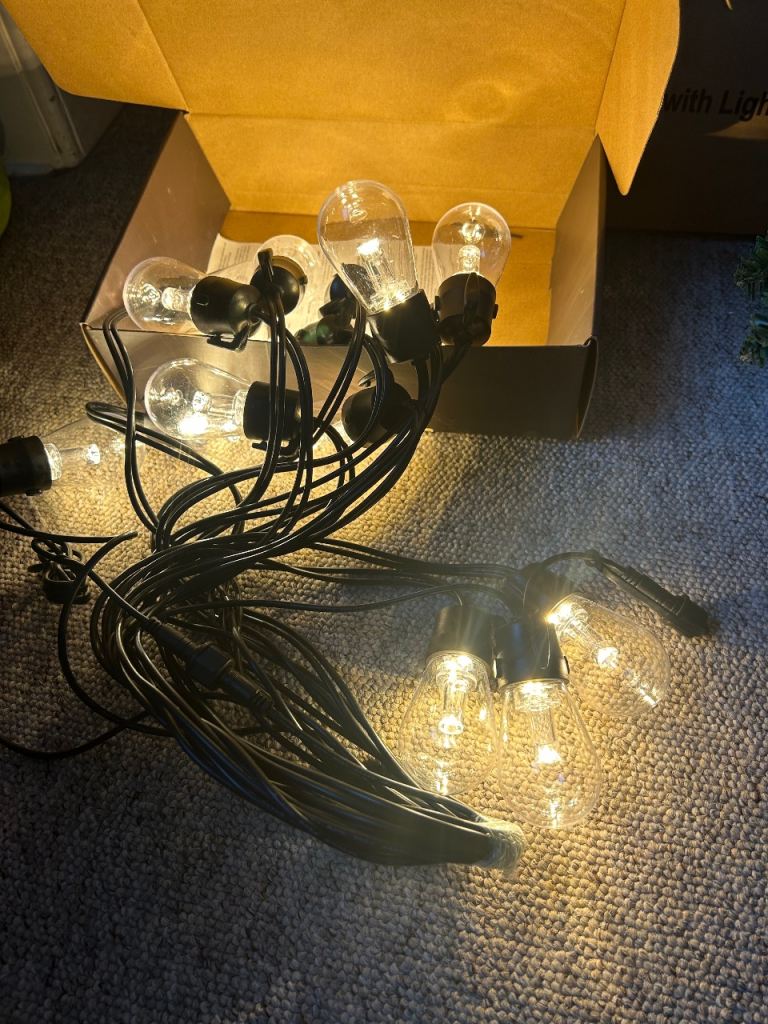 Outdoor Christmas festoon light & 50cm lighted tree