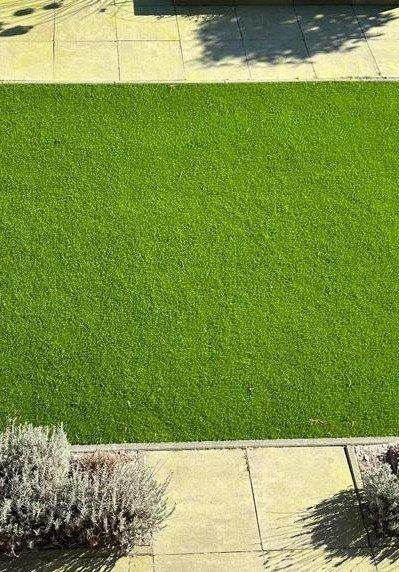 image for Astro Turf for Sale 40mm | Premium Artificial Grass Roll