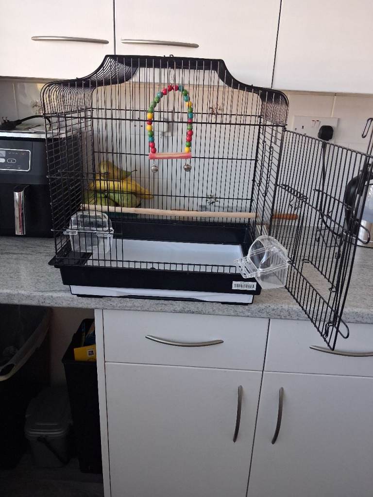 Bird cage