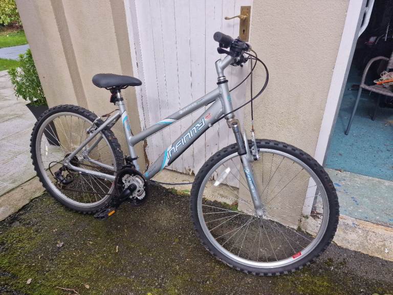 Ladies Bike