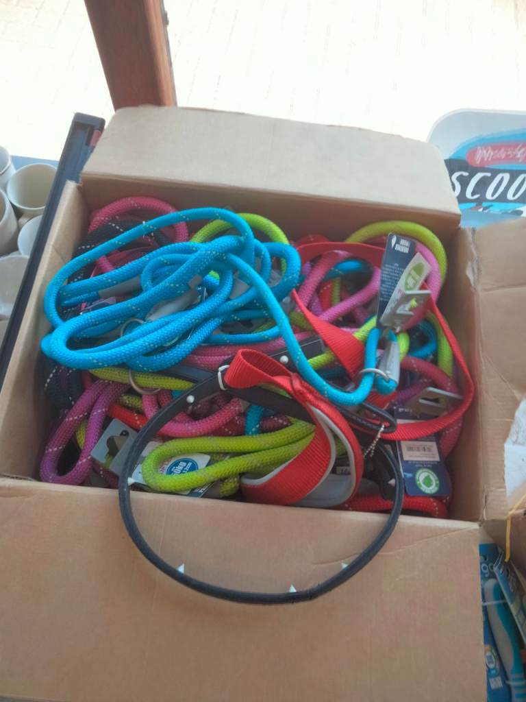 Dog leads all different sizes 