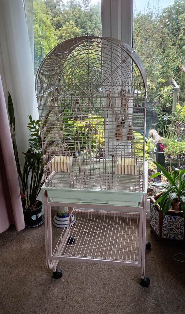 Bird cage