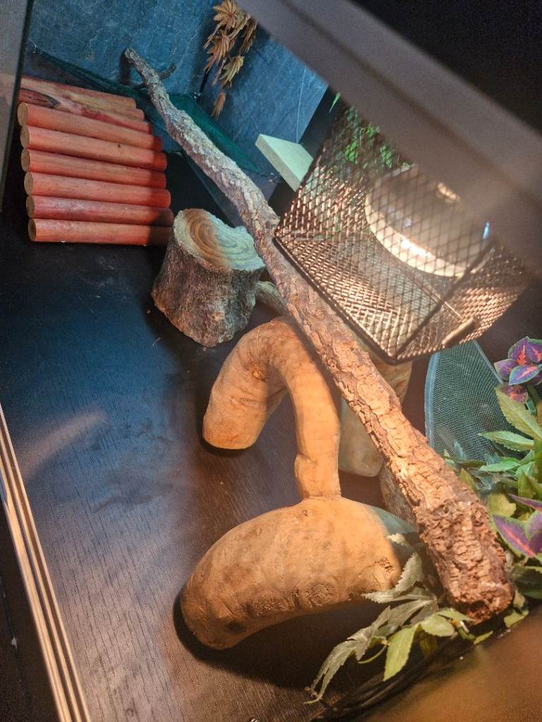 Vivatox vivarum