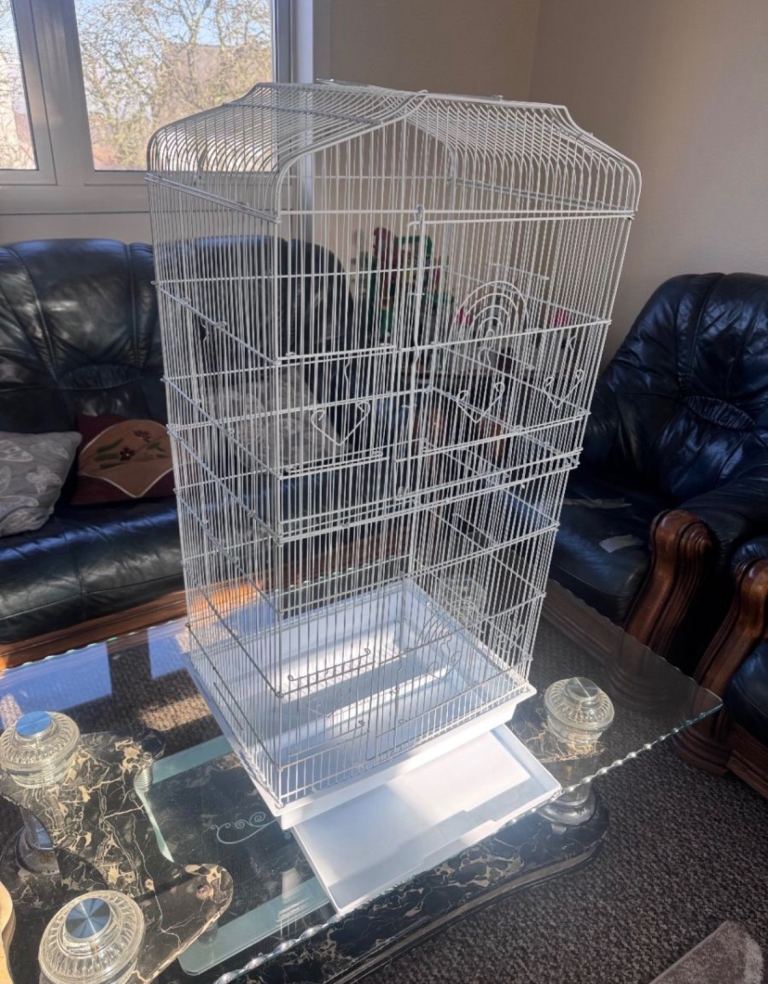 Birds Cage