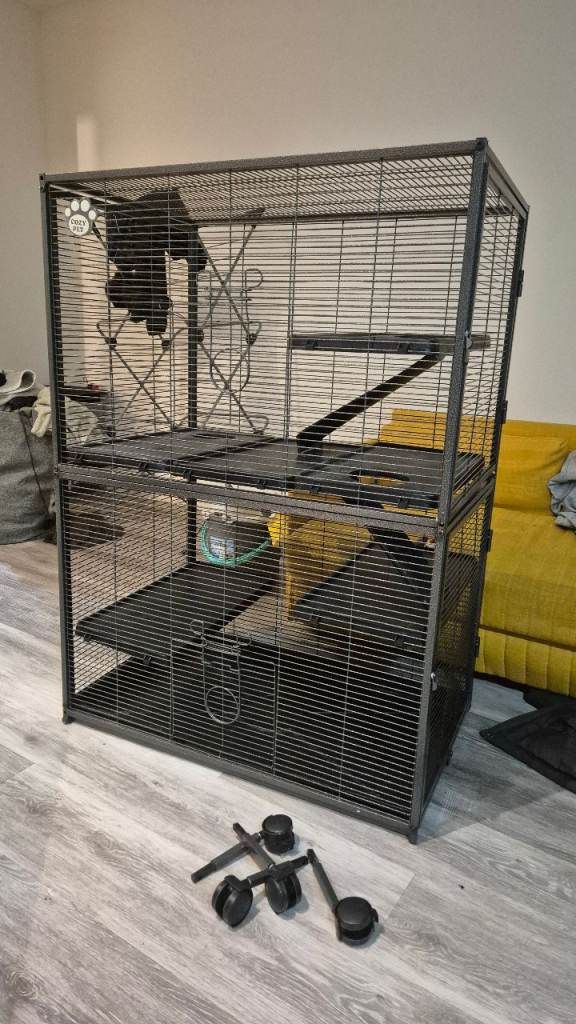 Rat cage 