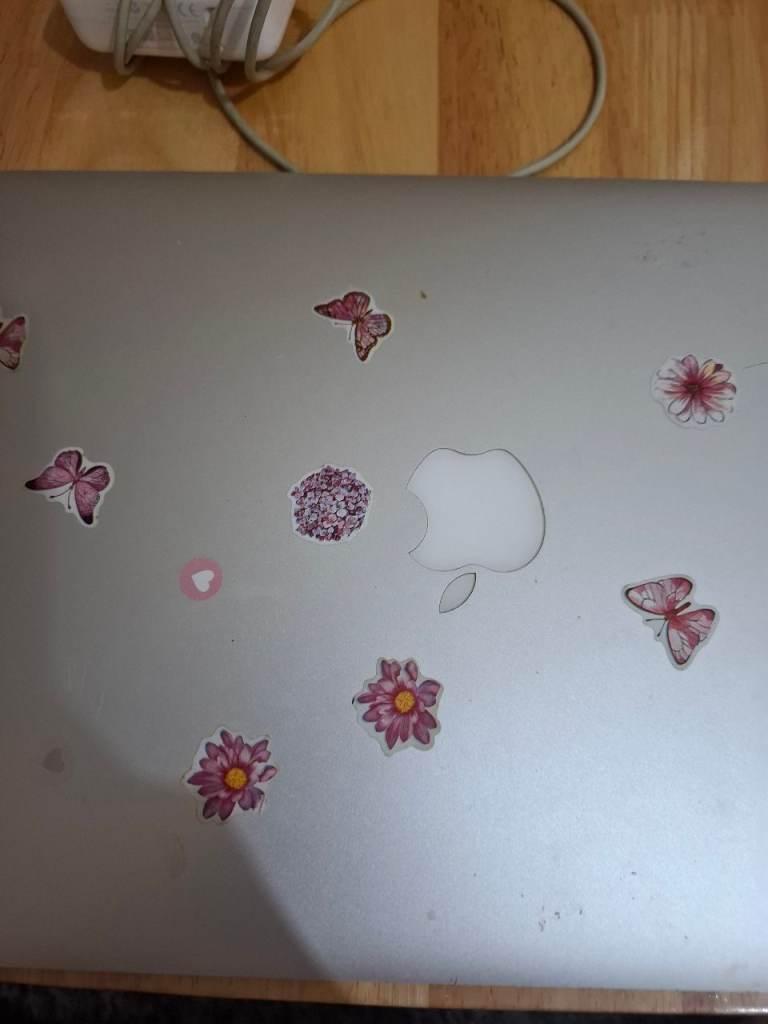 Apple macbook