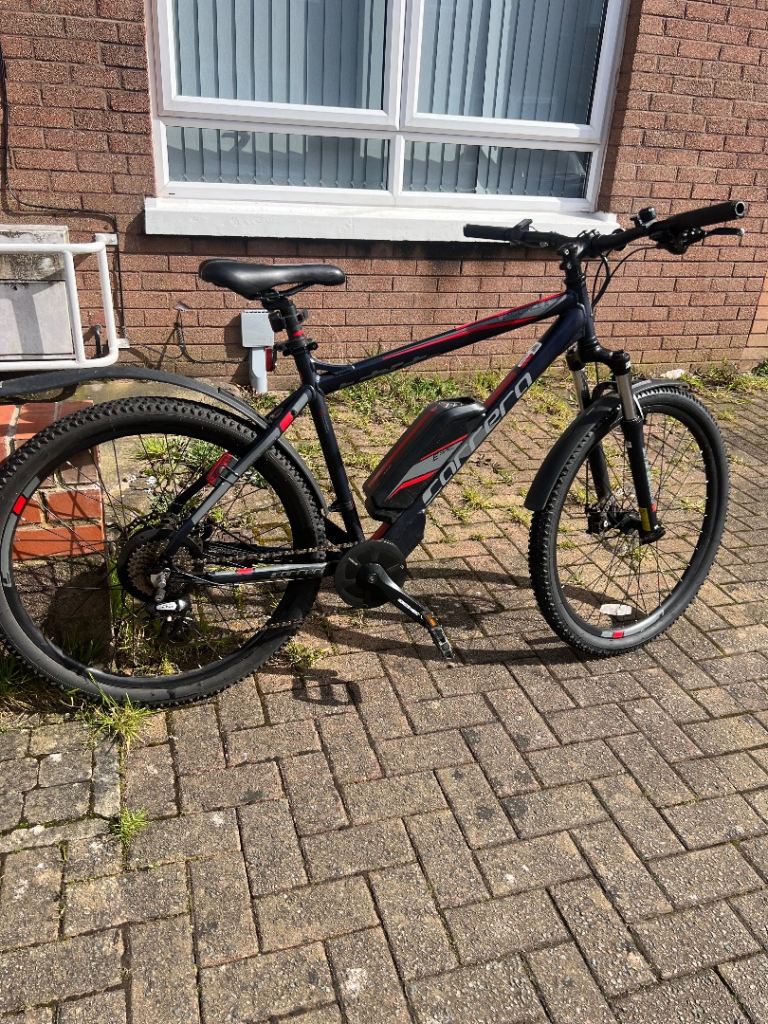Carrera E vengeance electric mountain bike
