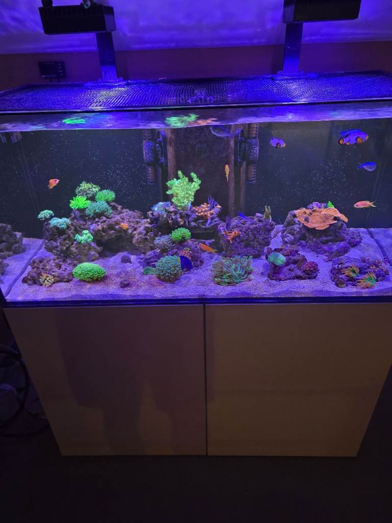 Marine aqaurium 
