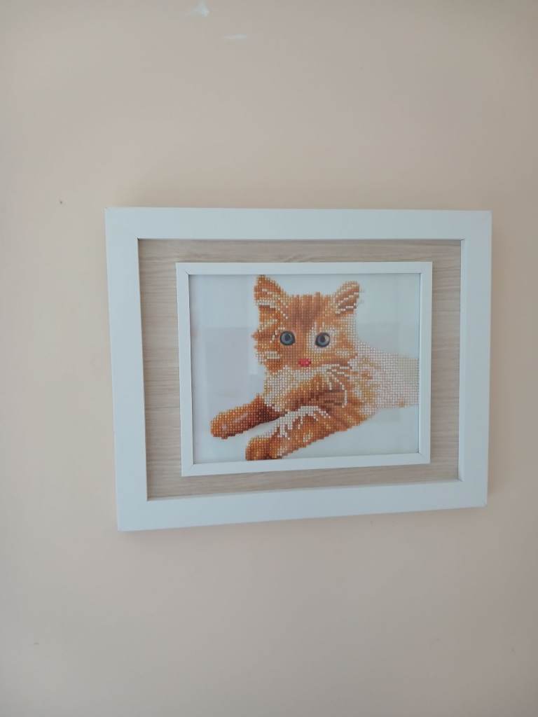 Cute Ginger Cat Diamond Painting in White Frame