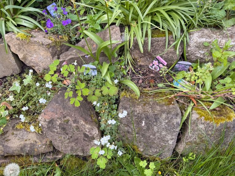 FREE Rockery or Walling stone
