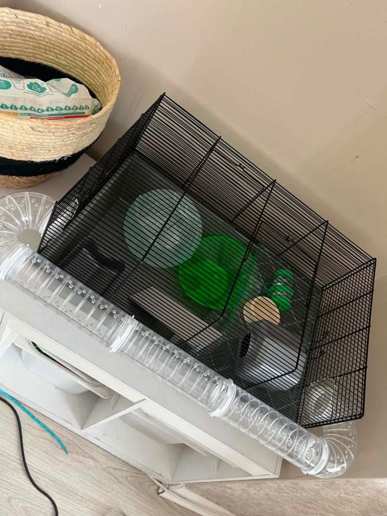 Hamster cage 