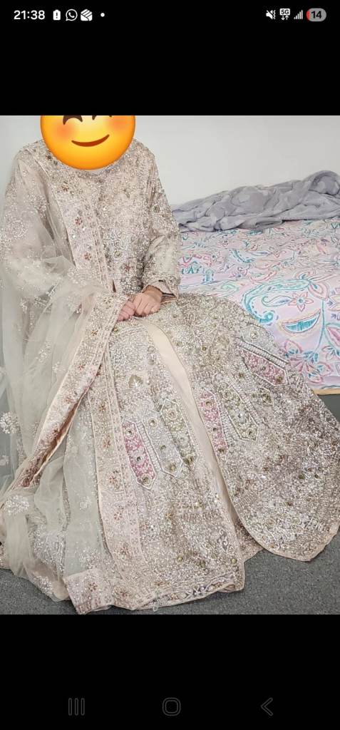 Asian  Party wear
