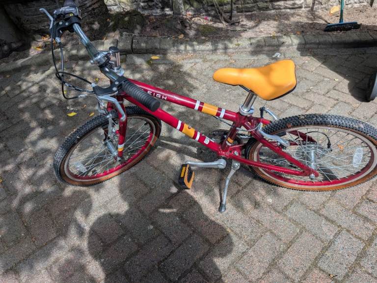 Raleigh Pop Plum 20in Unisex Kids Bike