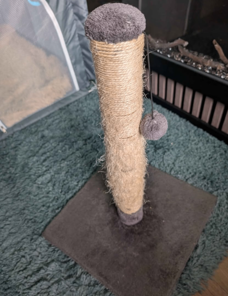 Cat Scratching Post